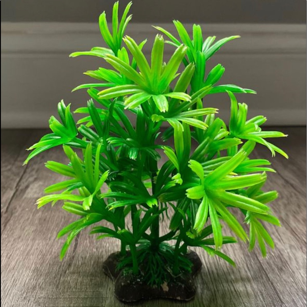 Fish tank decor